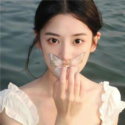 荣誉曙光
