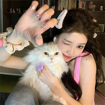后宫太子妃